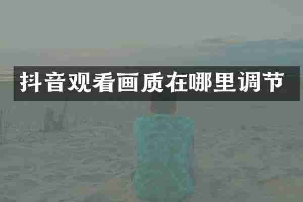 抖音观看画质在哪里调节
