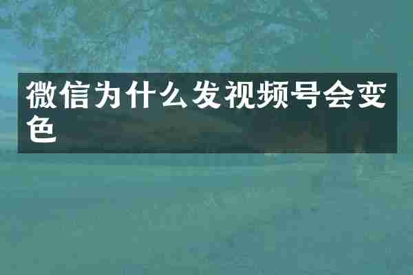 微信为什么发视频号会变色