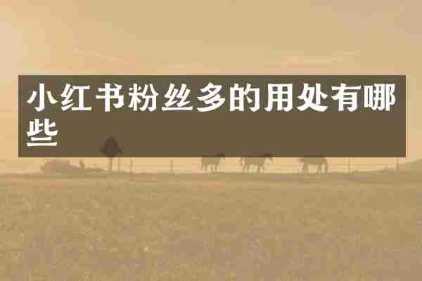 小红书粉丝多的用处有哪些
