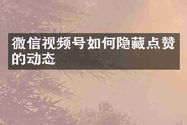 微信视频号如何隐藏点赞的动态