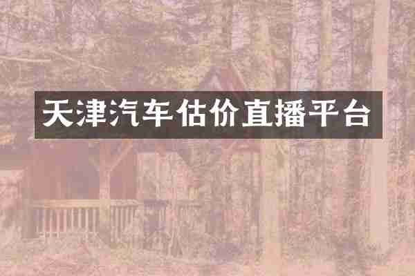 天津汽车估价直播平台
