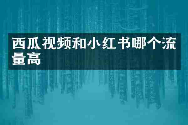 西瓜视频和小红书哪个流量高