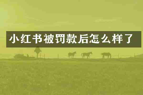 小红书被罚款后怎么样了