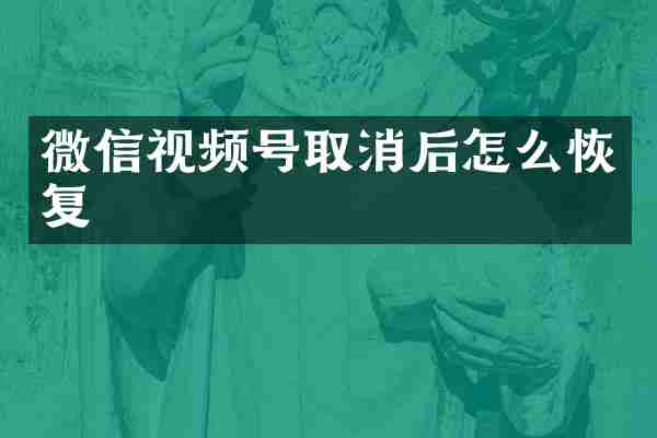 微信视频号取消后怎么恢复