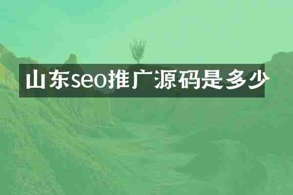 山东seo推广源码是多少