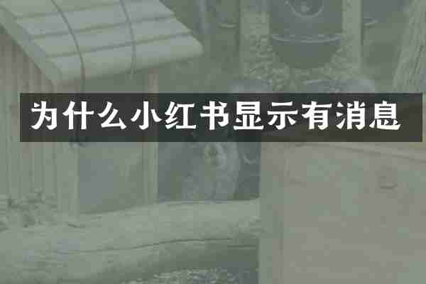 为什么小红书显示有消息