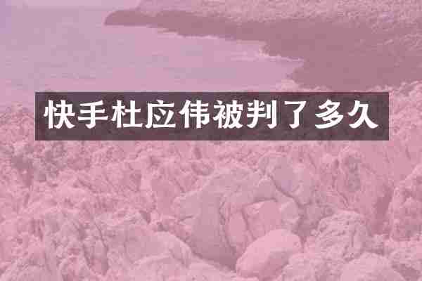 快手杜应伟被判了多久