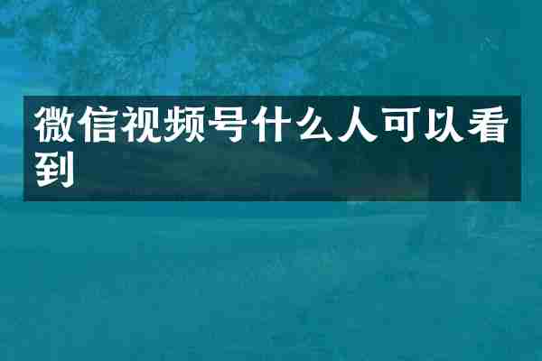 微信视频号什么人可以看到
