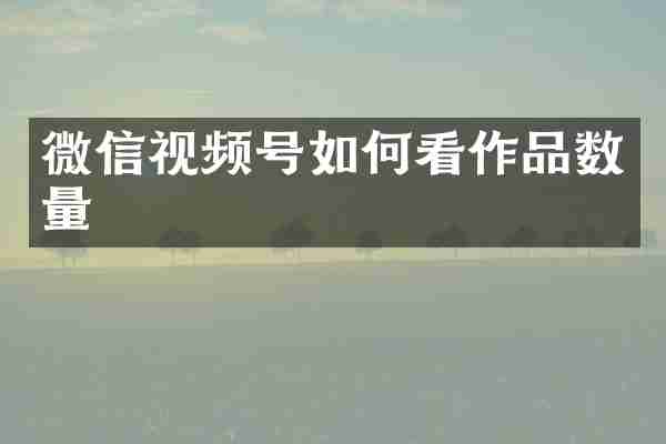 微信视频号如何看作品数量