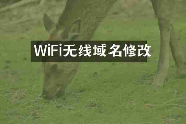 WiFi无线域名修改