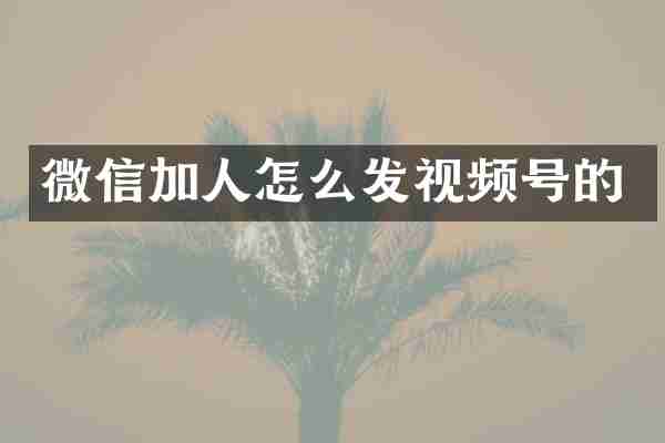 微信加人怎么发视频号的