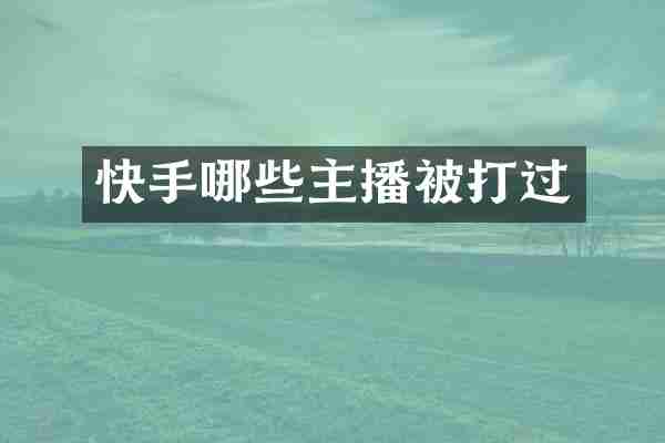 快手哪些主播被打过