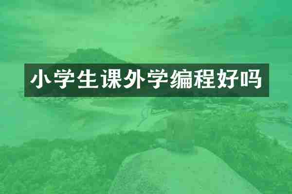 小学生课外学编程好吗
