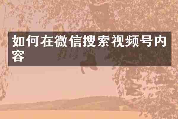 如何在微信搜索视频号内容