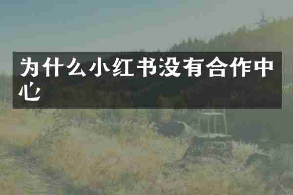 为什么小红书没有合作中心