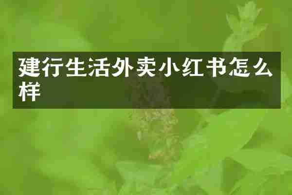 建行生活外卖小红书怎么样
