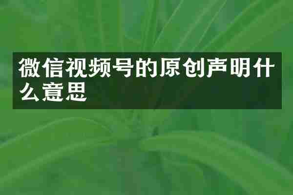 微信视频号的原创声明什么意思