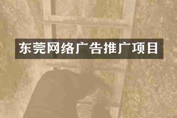 东莞网络广告推广项目