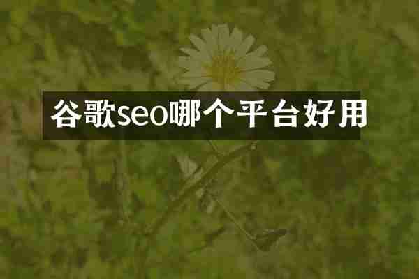 谷歌seo哪个平台好用