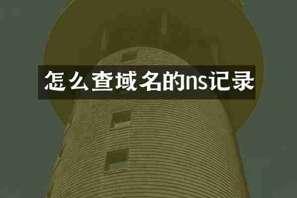 怎么查域名的ns记录