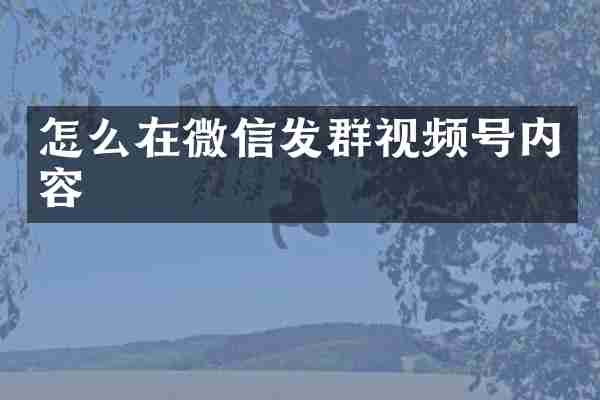 怎么在微信发群视频号内容