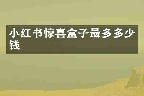 小红书惊喜盒子最多多少钱