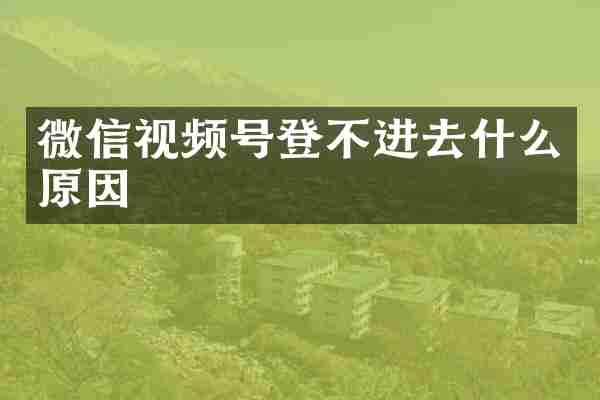 微信视频号登不进去什么原因