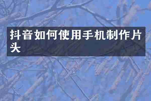 抖音如何使用手机制作片头