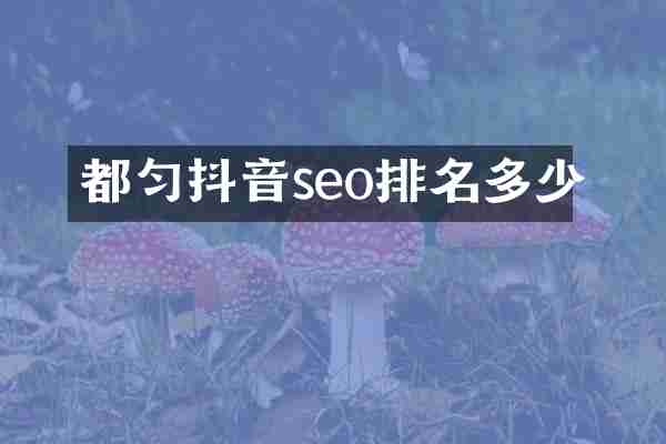 都匀抖音seo排名多少