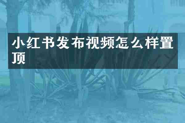 小红书发布视频怎么样置顶
