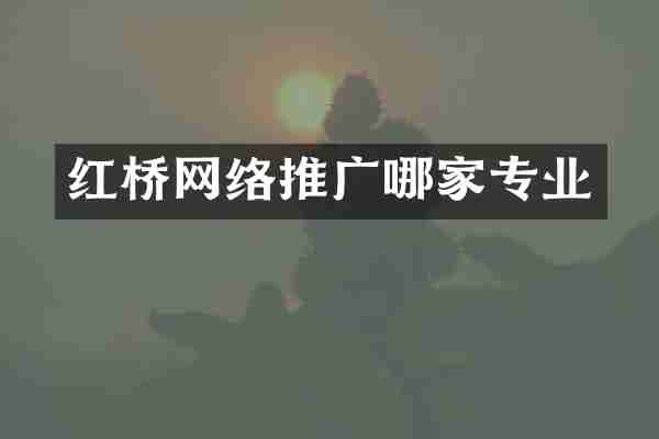 红桥网络推广哪家专业