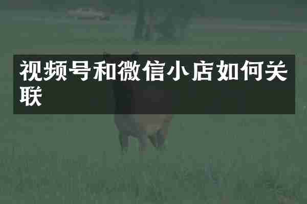 视频号和微信小店如何关联