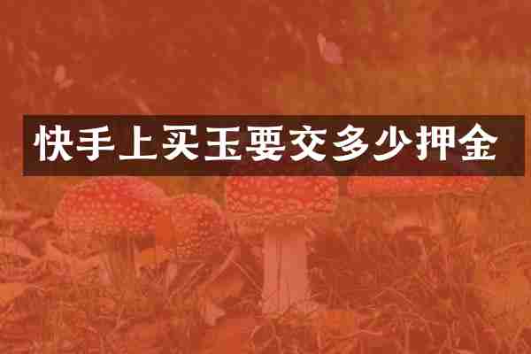 快手上买玉要交多少押金