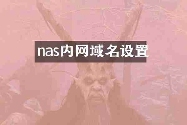 nas内网域名设置