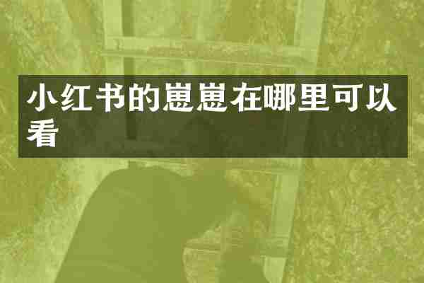 小红书的崽崽在哪里可以看
