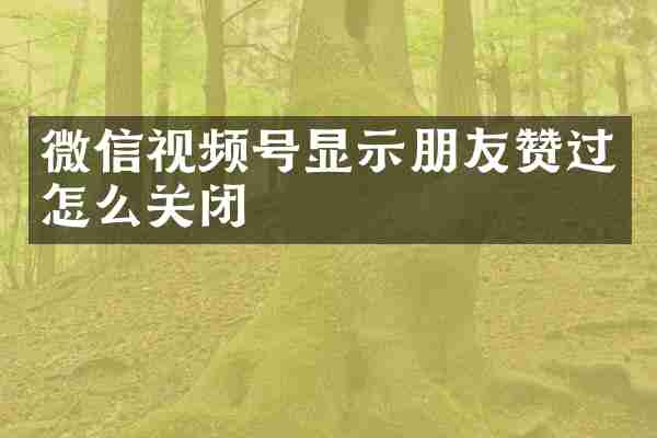 微信视频号显示朋友赞过怎么关闭