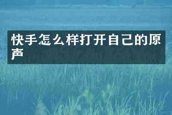 快手怎么样打开自己的原声