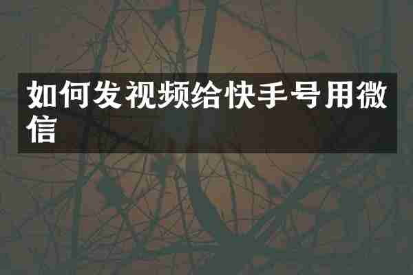 如何发视频给快手号用微信