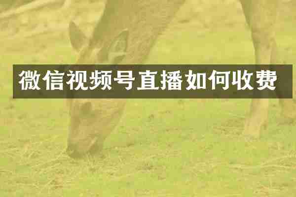 微信视频号直播如何收费