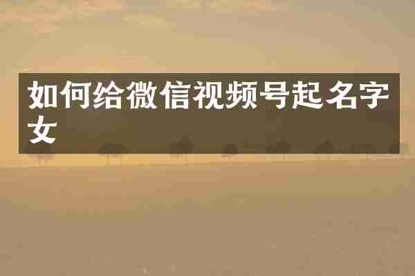 如何给微信视频号起名字女
