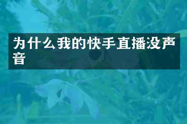 为什么我的快手直播没声音