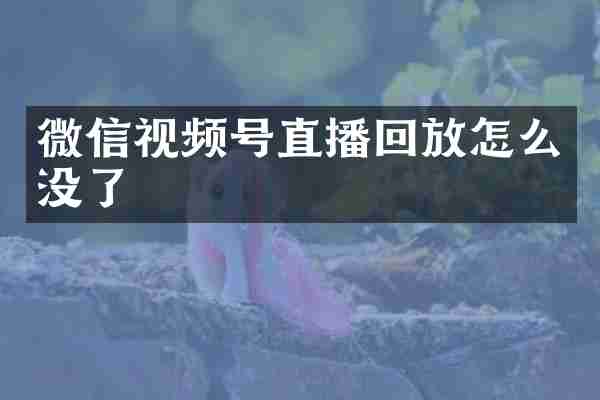 微信视频号直播回放怎么没了