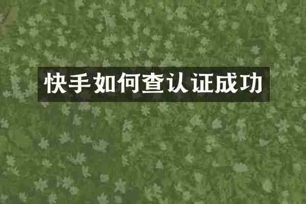 快手如何查认证成功