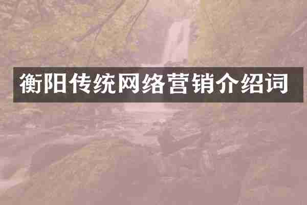 衡阳传统网络营销介绍词