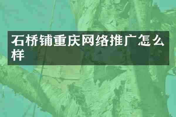 石桥铺重庆网络推广怎么样