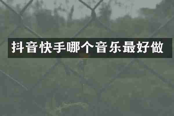 抖音快手哪个音乐最好做