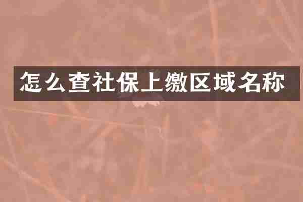 怎么查社保上缴区域名称