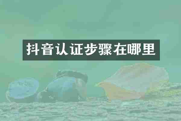 抖音认证步骤在哪里