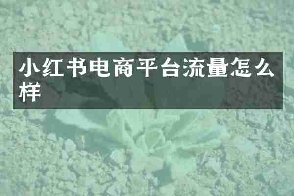 小红书电商平台流量怎么样