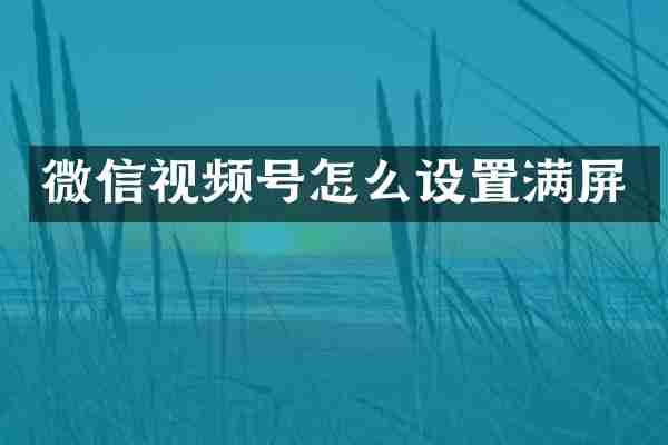 微信视频号怎么设置满屏